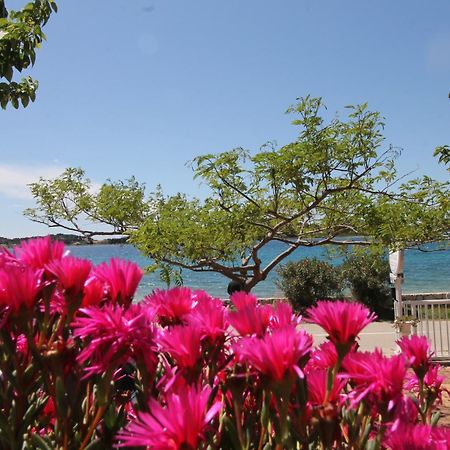 Villa Aurelia Vodice Exteriör bild